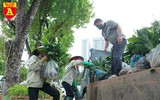 Trồng cây cảnh, phủ xanh dải phân cách ở đường Kim Mã